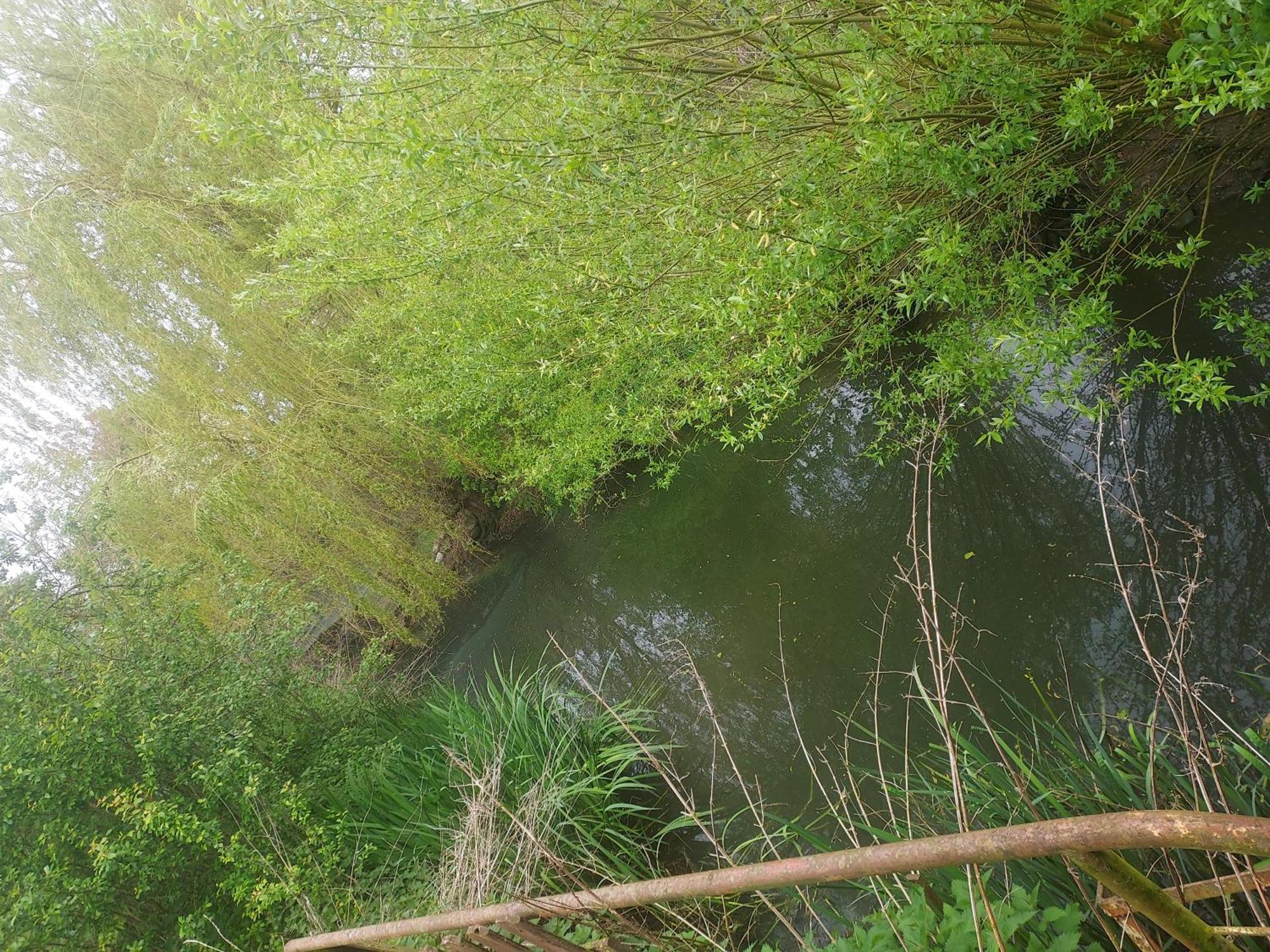 Au Chant Des Grenouilles Patay Luaran gambar